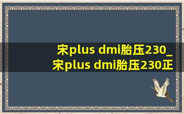 宋plus dmi胎压230_宋plus dmi胎压230正常吗